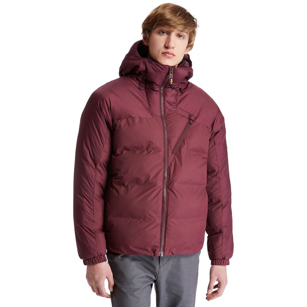 Chaquetas Timberland Argentina Hombre - Neo Summit Hooded Invierno - Burdeos - HBXZLP-184